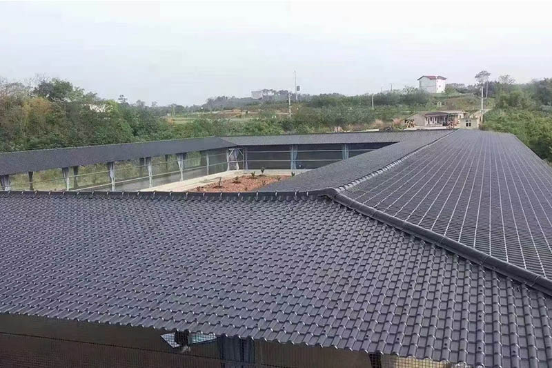 Projektesetek